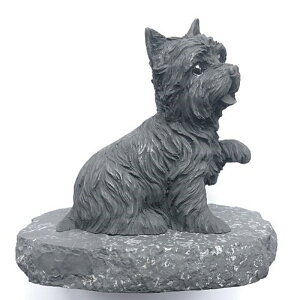 [NV[eAsVKCgt [/VKCg/dg/`N/u/VA/VKCg/tBMA]