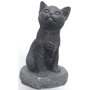 qL̂˂sVKCgt [/VKCg/dg/`N/u/VA/VKCg/tBMA]