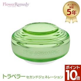 【P10倍】【5年保証】トラベラー セカンドジェネレーション《ソマヴェディック》 [ソマヴェディック/ヒーリング/ソマヴェディック/スピリチュアル/パワーストーン/ソマヴェディック/浄化/電磁波/オルゴナイト/自動車/車内/運転/コンパクト/旅行/ホテル]