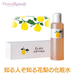 yX[p[SALESi|Cg5{ő2222~N[|zzzԗ̉ϐ 200ml[ԗ̉ϐ/[V/XLPA//]