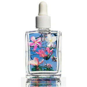 AnnCAERrl[VGNV[st[Rit 15ml@[t[GbZX/t[Ri/nC/flora corona/t[fB/KAi]