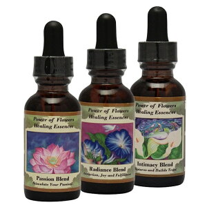 }Xt[GbZXLbgS3{sp[Iut[q[OGbZXt30ml×3{Zbg[p[Iut[q[OGbZXbt[GbZXbCi[`Ch