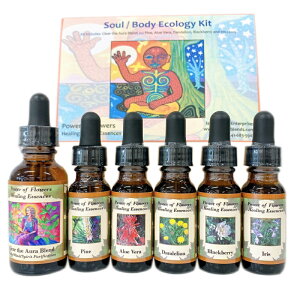 \E/{fBGRW[LbgS6{sp[Iut[q[OGbZXt15ml×5{E30ml×1{Zbg[p[Iut[q[OGbZXbt[GbZXbCi[`