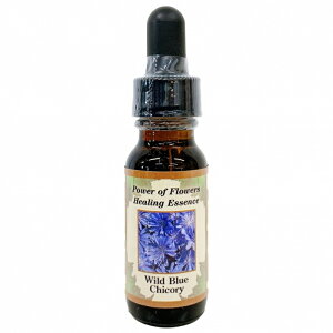 Chu[`R[sp[Iut[q[OGbZXt15mly[֑Ώہz[AhoXVO/t[GbZX/KAi/AJ]