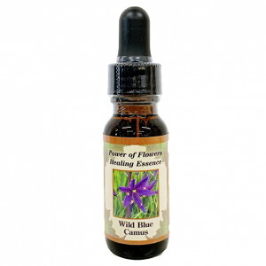 Chu[J}Xsp[Iut[q[OGbZXt15mly[֑Ώہz[AhoXVO/t[GbZX/KAi/AJ]