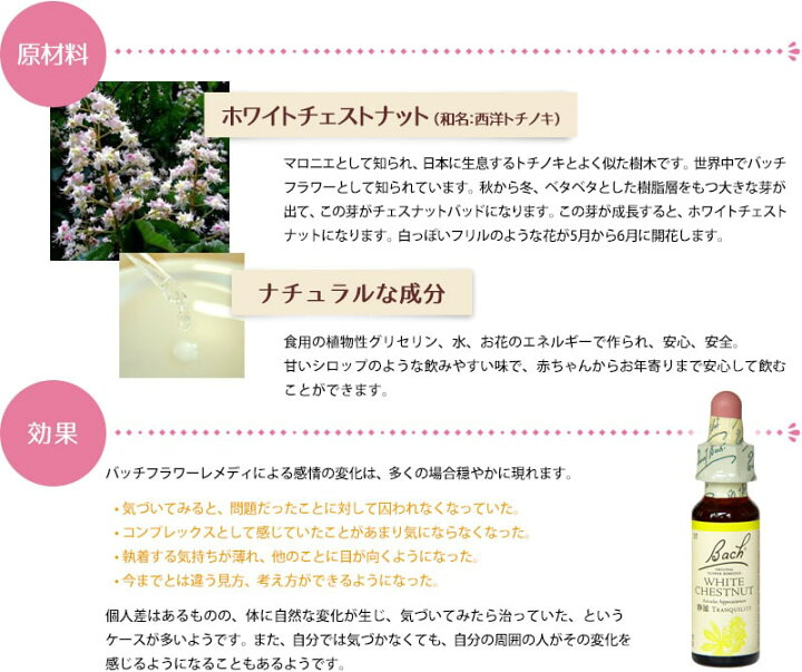 777円 絶妙なデザイン バッチフラワー ホワイトチェストナット 10ml グリセリン 日本国内正規品 777円 絶妙なデザイン バッチフラワー ホワイトチェストナット 10ml グリセリン 日本国内正規品