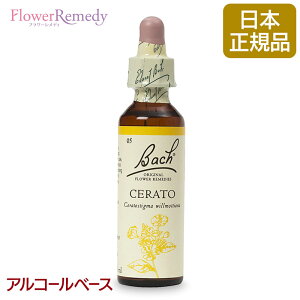 ob`t[fB Zg[iwjj AR[x[X(20ml)/lCt[GbZX ob`t[fB KAiy[֑Ώہz[ob`/t[/fB/tBgZs[/