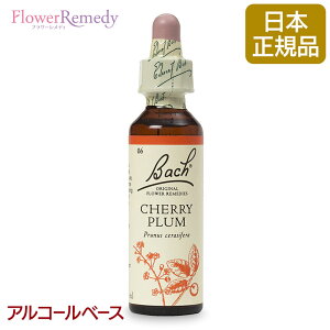 ob`t[fB `F[viSj AR[x[X(20ml)/lCt[GbZX ob`t[fB KAiy[֑Ώہz[ob`/t[/fB/tBg