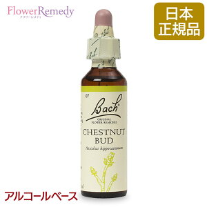 ob`t[fB `FXgibgobhif́j AR[x[X(20ml)/lCt[GbZX ob`t[fB KAiy[֑Ώہz[ob`/t[/fB/