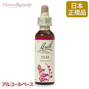 ob`t[fB GiT|[gj AR[x[X(20ml)/lCt[GbZX ob`t[fB KAiy[֑Ώہz[ob`/t[/fB/tBgZs