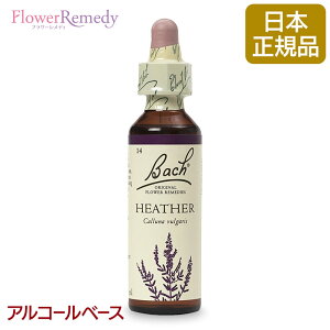 ob`t[fB wU[iej AR[x[X(20ml)/lCt[GbZX ob`t[fB KAiy[֑Ώہz[ob`/t[/fB/tBgZs[/