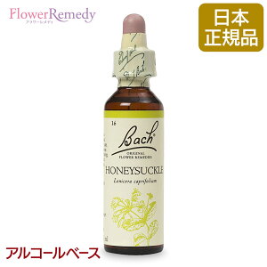 ob`t[fB nj[TbNi̎j AR[x[X(20ml)/lCt[GbZX ob`t[fB KAiy[֑Ώہz[ob`/t[/fB/tB