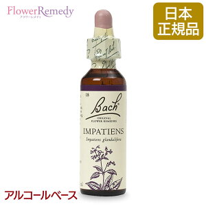 ob`t[fB Cp`GXiEϗ́j AR[x[X(20ml)/lCt[GbZX ob`t[fB KAiy[֑Ώہz[ob`/t[/fB/tBg