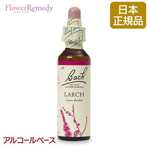 �y���������}���\���ő�2222�~�����N�[�|���z�z���z�o�b�`�t�����[�����f�B ���[�`�i���M�j �A���R�[���x�[�X(20ml)/�l�C�t�����[�G�b�Z���X �o�b�`�t�����[�����f�B ���K�A���i�y���[����