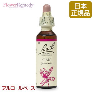 ob`t[fB I[Ni^̋j AR[x[X(20ml)/t[GbZX ob`t[fB KAiy[֑Ώہz[ob`/t[/fB/tBgZs[/