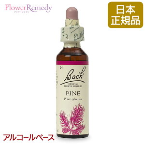 ob`t[fB pC Pineij AR[x[X(20ml)/t[GbZX ob`t[fB KAiy[֑Ώہz[ob`/t[/fB/tBgZs[/