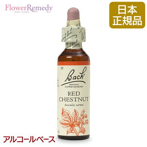 ob`t[fB bh`FXgibgiSj AR[x[X(20ml)/t[GbZX ob`t[fB KAiy[֑Ώہz[ob`/t[/fB/tB