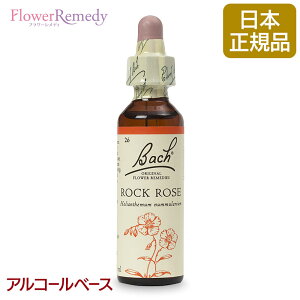 ob`t[fB bN[Yij AR[x[X(20ml)/t[GbZX ob`t[fB KAiy[֑Ώہz[ob`/t[/fB/tBgZs[/