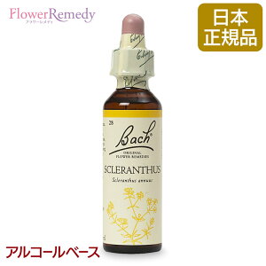 ob`t[fB XNTXif́j AR[x[X(20ml)/t[GbZX ob`t[fB KAiy[֑Ώہz[ob`/t[/fB/tBgZ