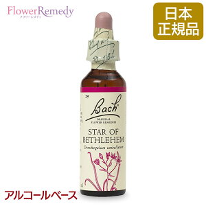 ob`t[fB X^[Iuxcwij AR[x[X(20ml)/t[GbZX ob`t[fB KAiy[֑Ώہz[ob`/t[/fB/tBg