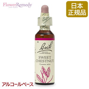 ob`t[fB XEB[g`FXgibgiȂ߁j AR[x[X(20ml)/t[GbZX ob`t[fB KAiy[֑Ώہz[ob`/t[/f