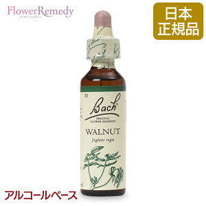 ob`t[fB EHibgiSj AR[x[X(20ml)/t[GbZX ob`t[fB KAiy[֑Ώہz[ob`/t[/fB/tBgZs