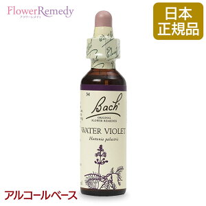 ob`t[fB EH[^[oCIbgiȂj AR[x[X(20ml)/t[GbZX ob`t[fB KAiy[֑Ώہz[ob`/t[/fB/