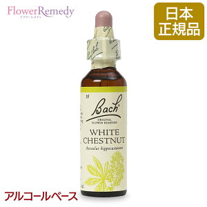 ob`t[fB zCg`FXgibgi捁j AR[x[X(20ml)/t[GbZX ob`t[fB KAiy[֑Ώہz[ob`/t[/fB/tB