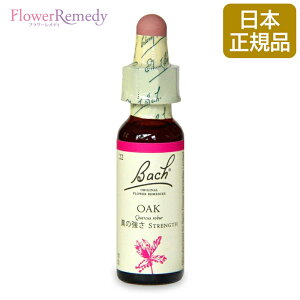 ob`t[fB I[Ni^̋j OZx[X(10ml)/t[GbZX ob`t[fB KAiy[֑Ώہz[ob`/t[/fB/tBgZs[/