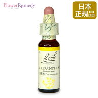 バッチフラワーレメディ スクレランサス（決断力） グリセリンベース(10ml)/フラワーエッセンス バッチフ…