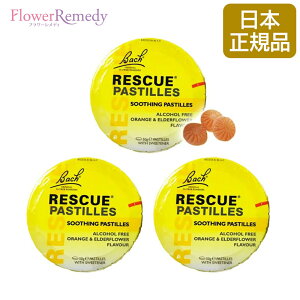 ob`t[fB XL[pXe IW 3{Zbg lCt[GbZX ob`t[fB[ KAiyob` t[ fB A  LfBzXL