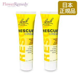 y2{ZbgzXL[N[ 50g 2{Zbgsob`t[fBt[KAi/ob`XL[fB/t[GbZX/{fBN[/nhN[/ybg///L]