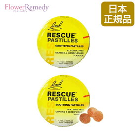 【お買い物マラソン最大2222円割引クーポン配布中】【日本国内正規品】【2個セット】レスキューパステル オレンジ《バッチフラワーレメディ》50g 2個セット[レスキューレメディ/フラワーエッセンス/グミ/キャンディ/飴/オレンジ味]