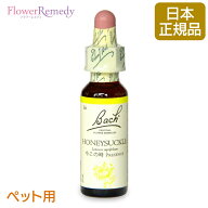[ペット用]バッチフラワーレメディ ハニーサックル（今この時）10ml/人気フラワーエッセンス バッチフラ…