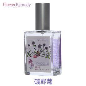 磯野菊フラワーエッセンススプレー《シャンドゥルール》25ml[奄美大島｜国産フラワーエッセンス｜アロマスプレー｜エッセンシャルオイル｜精油]