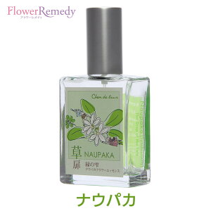 iEpJtt[GbZXXv[sVhD[t25ml[哇bYt[GbZXbA}Xv[bGbZVICb]