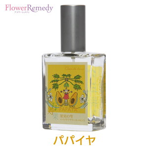 ppCt[GbZXXv[sVhD[t25ml[哇bYt[GbZXbA}Xv[bGbZVICb]