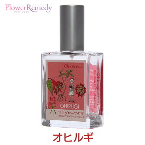 IqMt[GbZXXv[sVhD[t25ml[哇bYt[GbZXbA}Xv[bGbZVICb]