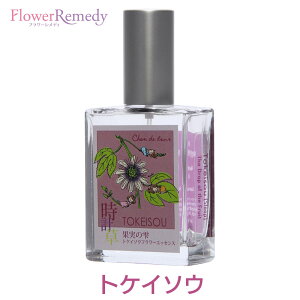 gPC\Et[GbZXXv[sVhD[t25ml[哇bYt[GbZXbA}Xv[bGbZVICb]