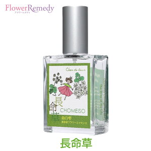 t[GbZXXv[sVhD[t25ml [哇bYt[GbZXbA}Xv[bGbZVICb]