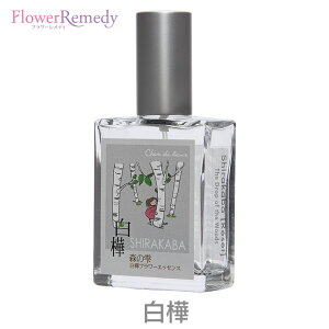 t[GbZXXv[sVhD[t25ml[kCbYt[GbZXbA}Xv[bGbZVICbbkC̎lGV[Y]