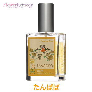 ۂۃt[GbZXXv[sVhD[t25ml[kCbYt[GbZXbA}Xv[bGbZVICbbkC̎lGV[Y]