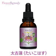 太古蓮（たいこはす）フラワーエッセンス《シャンドゥルール》20ml [出雲｜国産フラワーエッセンス｜奄美…