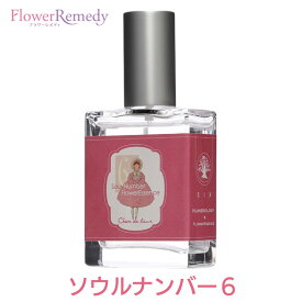 新ソウルナンバーエッセンススプレー SIX（6）《シャンドゥルール》25ml[奄美大島｜国産フラワーエッセンス｜アロマスプレー｜エッセンシャルオイル｜精油｜数秘術｜占い]