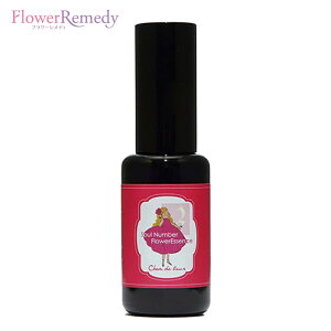 y݌Ɍzu^v\Eio[GbZXXv[ TWOi2jsVhD[t30ml[哇bYt[GbZXbA}Xv[bGbZVICbbpb