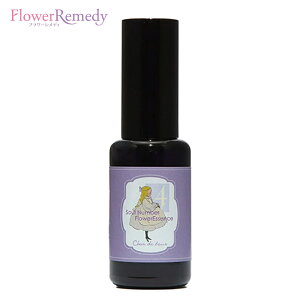 y݌Ɍzu^v\Eio[GbZXXv[ FOURi4jsVhD[t30ml[哇bYt[GbZXbA}Xv[bGbZVICbbpb