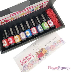 y݌Ɍzu^v\Eio[GbZXXv[ZbgiqtjsVhD[t30ml×9{[哇bYt[GbZXbA}Xv[bGbZVICb