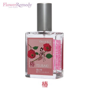 փt[GbZXXv[sVhD[t25ml[˓bYt[GbZXbA}Xv[bGbZVICbb˓̎lGV[Y]