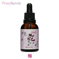 梅フラワーエッセンス《シャンドゥルール》20ml [国産フラワーエッセンス｜デトックス｜断捨離｜瀬戸内の…