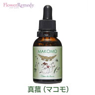 真菰（マコモ）フラワーエッセンス《シャンドゥルール》20ml [出雲｜国産フラワーエッセンス]